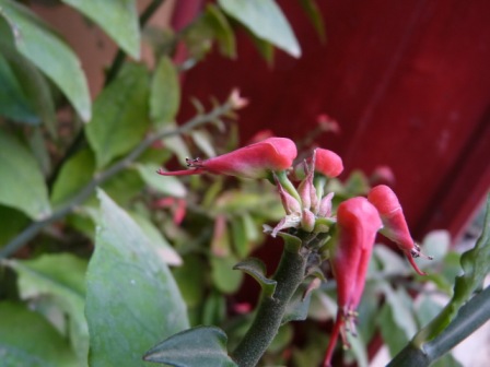 photo1