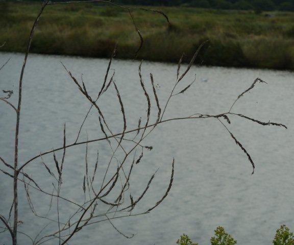 photo1