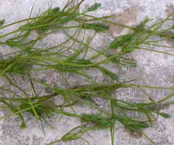 photo1