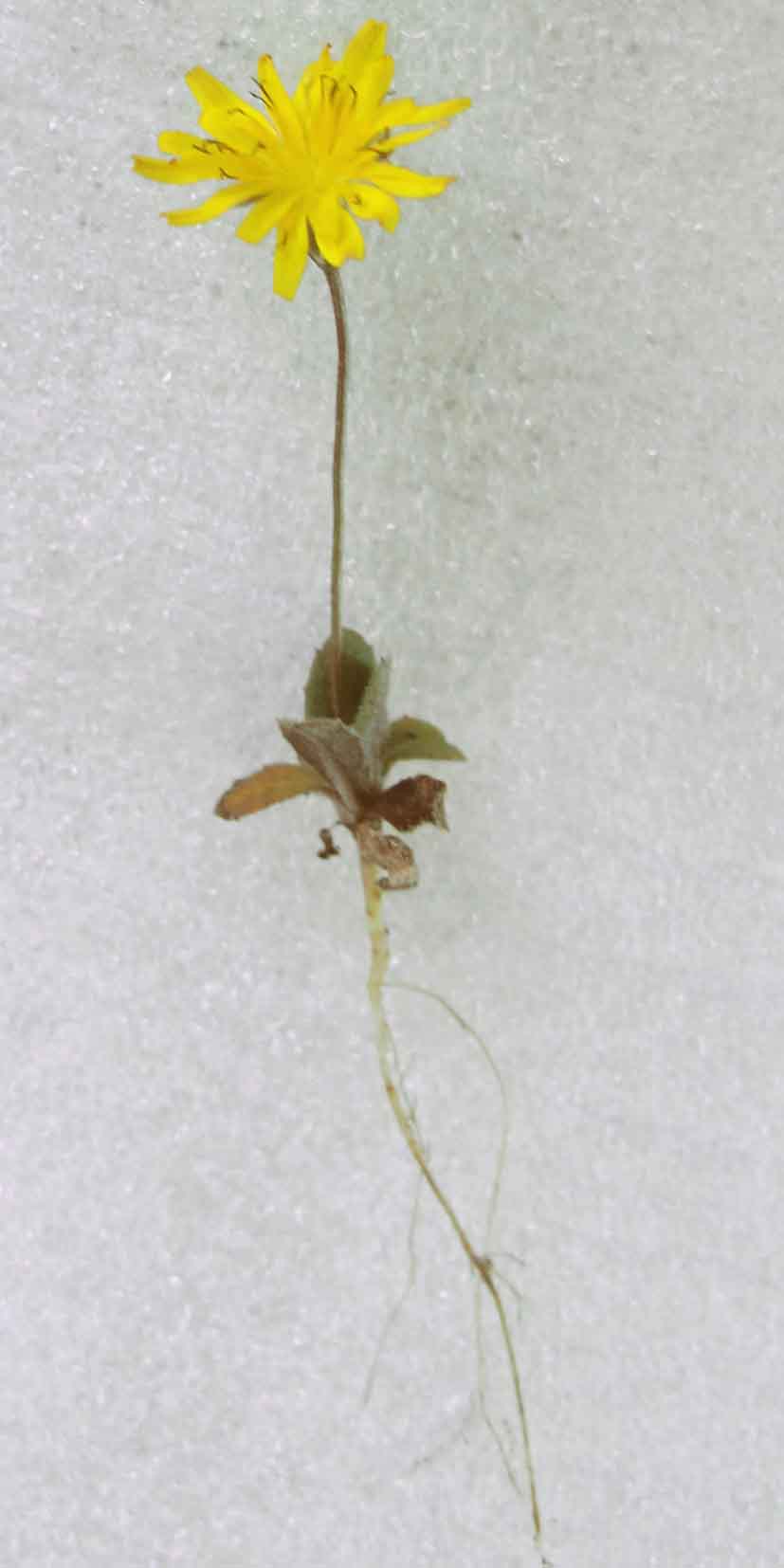 photo1