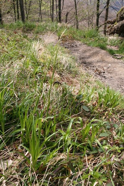 photo1