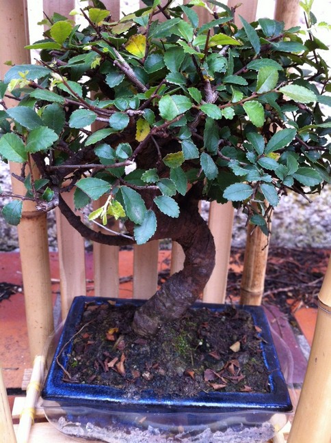 photo1
