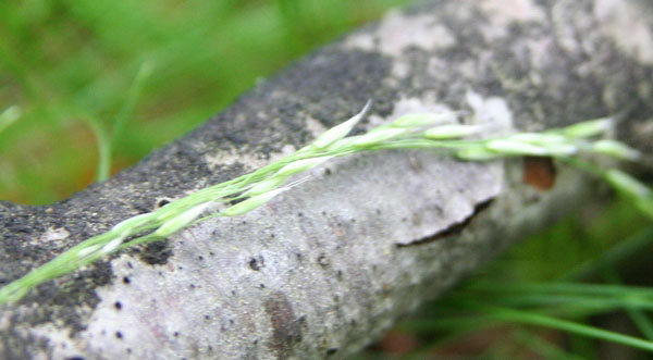 photo2