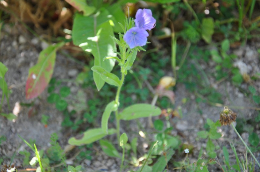 photo1