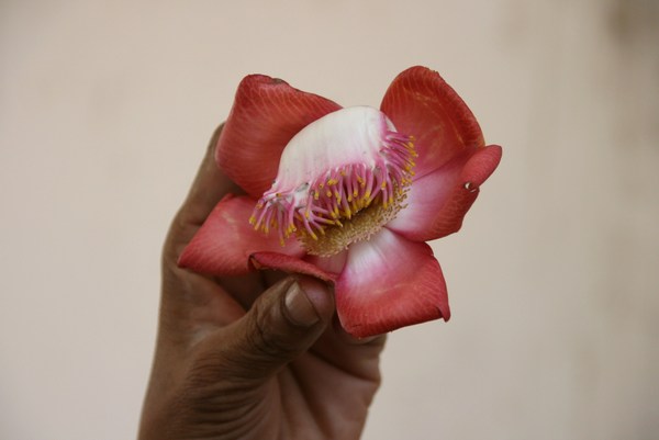 photo1