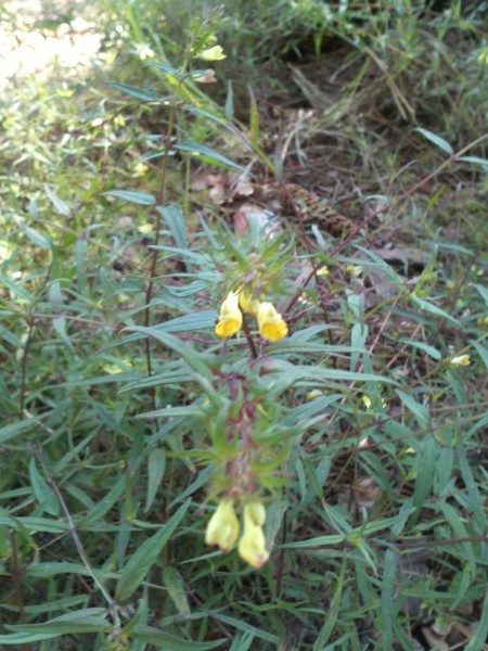 photo2