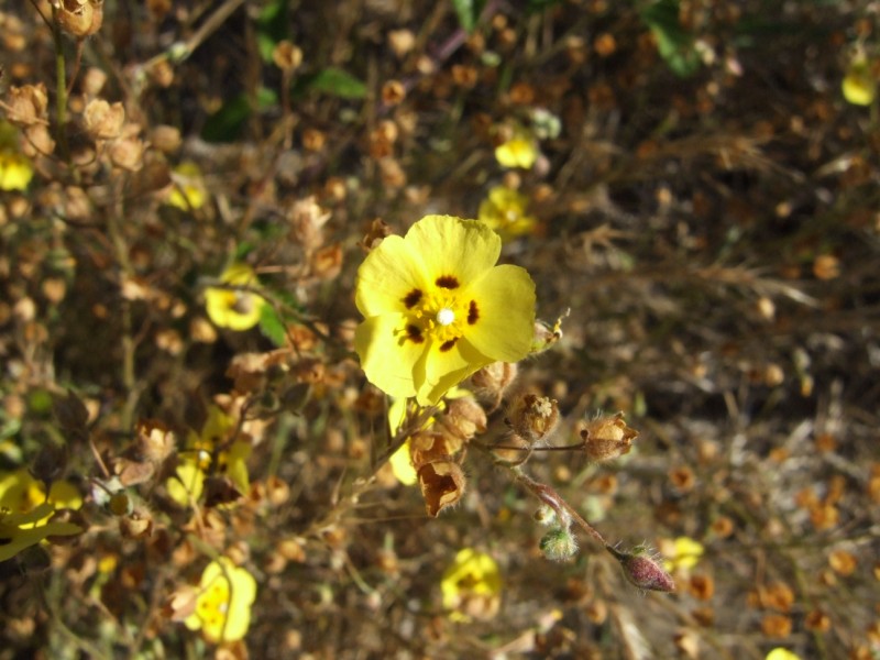 photo1