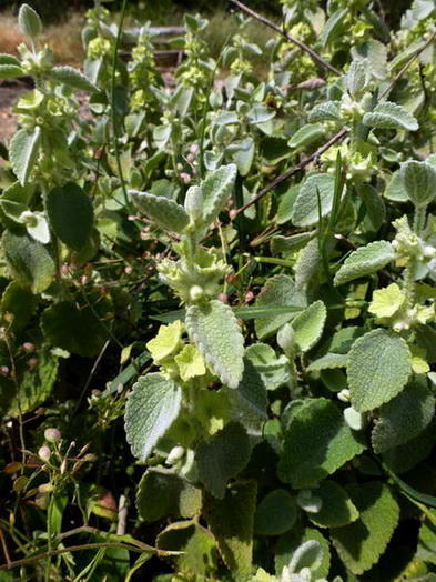 photo1