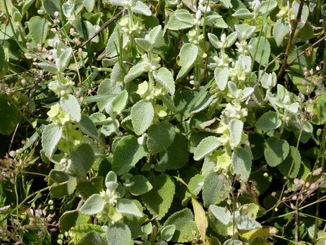 photo2