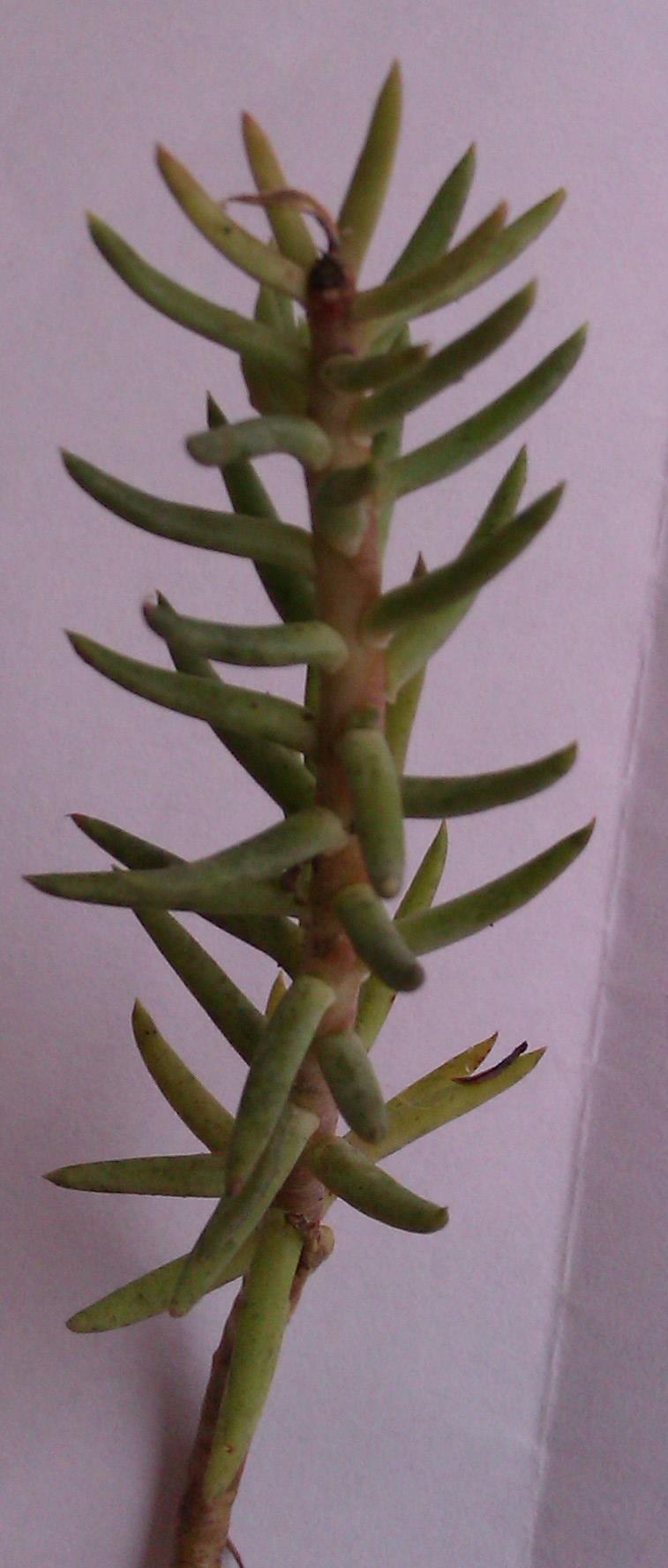 photo2