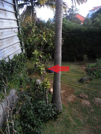 photo2