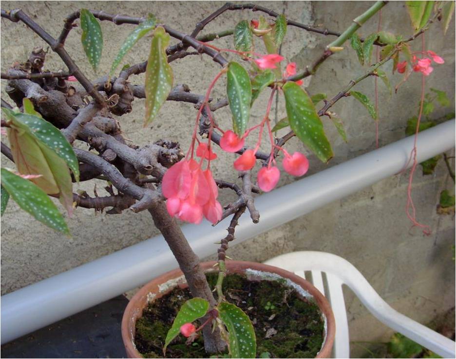photo1