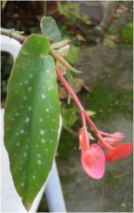 photo2