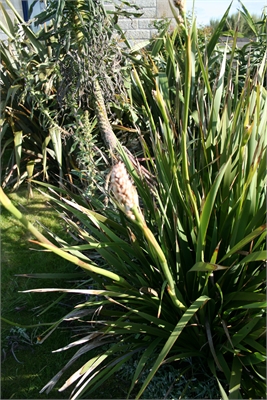 photo2