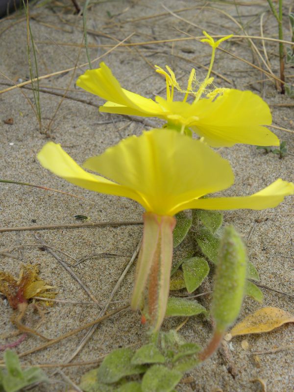 photo2