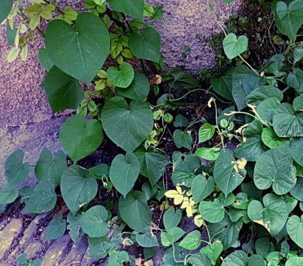 photo1