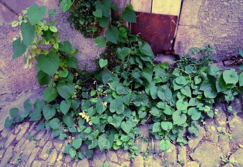 photo2
