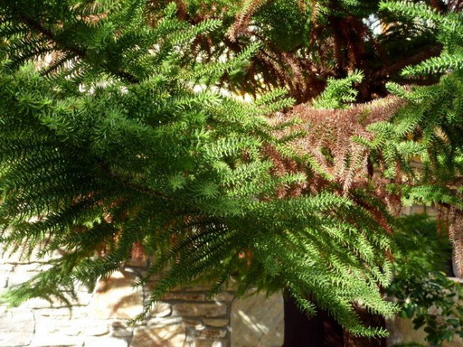 photo1