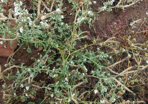 photo2