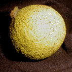 photo1