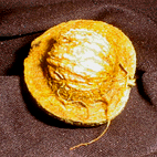 photo2
