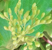 photo1