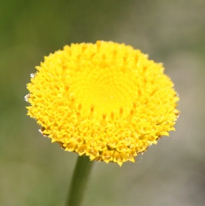 photo1