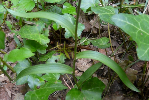 photo2
