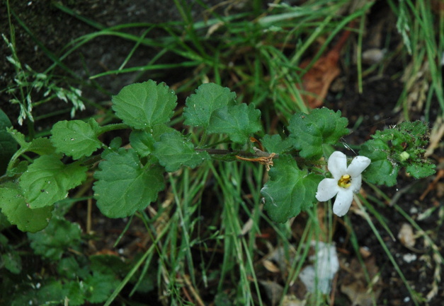 photo1