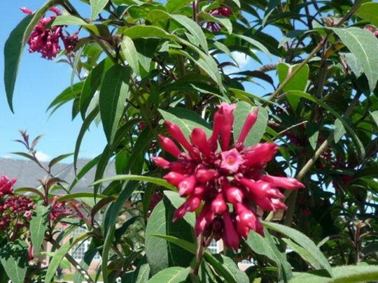 photo1