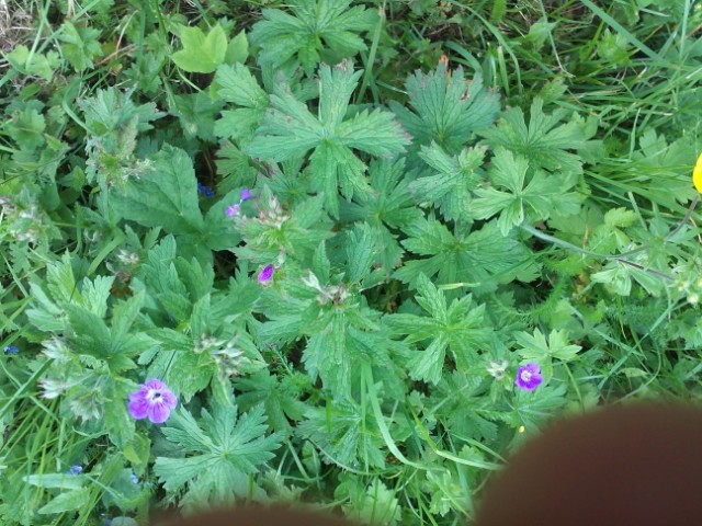 photo2
