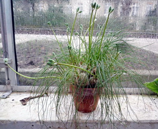 photo1