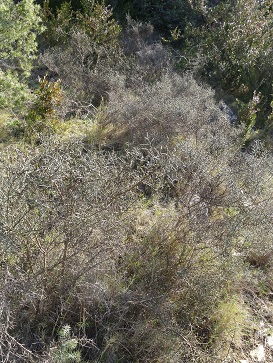 photo1