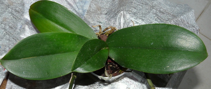 photo2