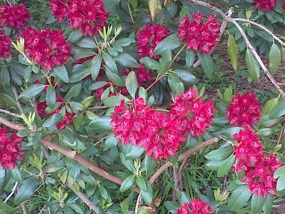 photo1