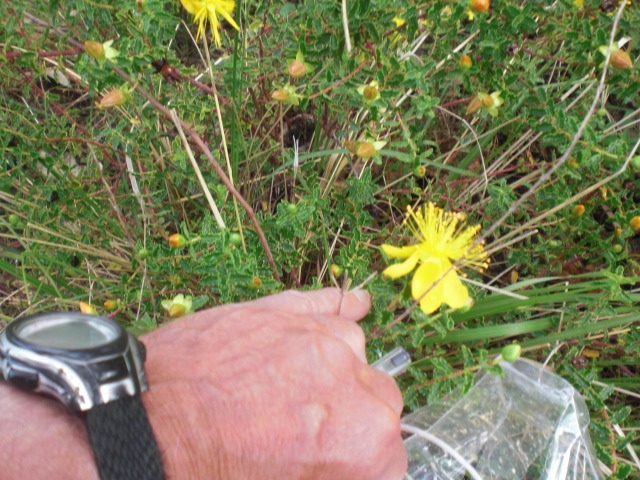 photo1