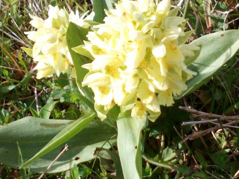photo1