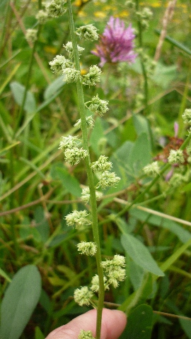 photo1