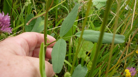 photo2