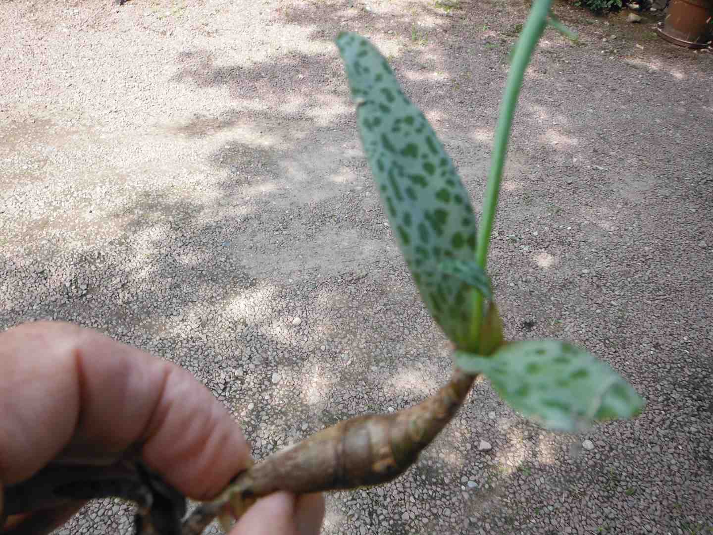 photo2