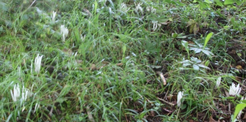 photo1