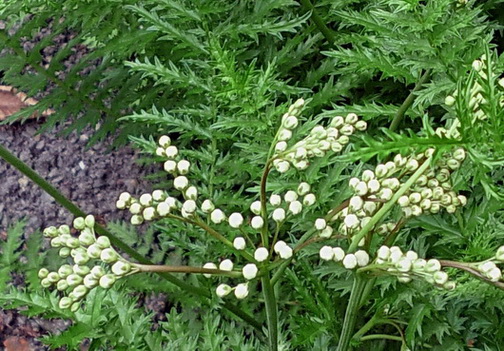 photo1