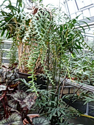 photo1