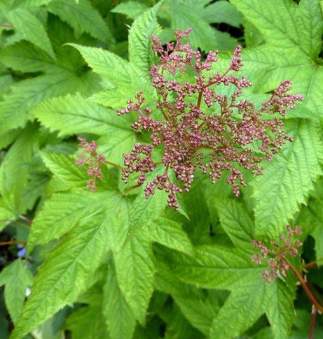 photo1