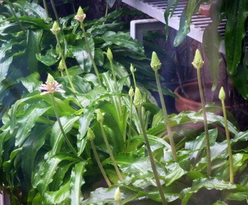 photo2
