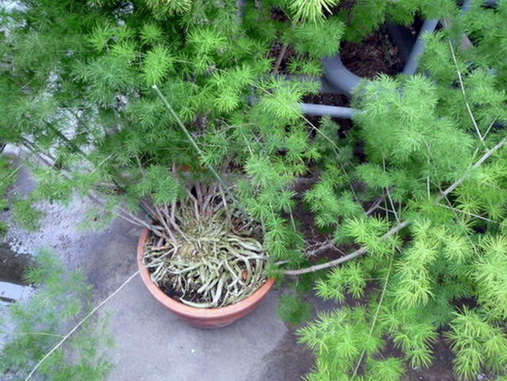 photo1