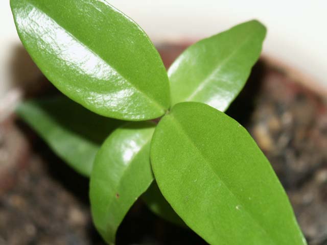 photo1