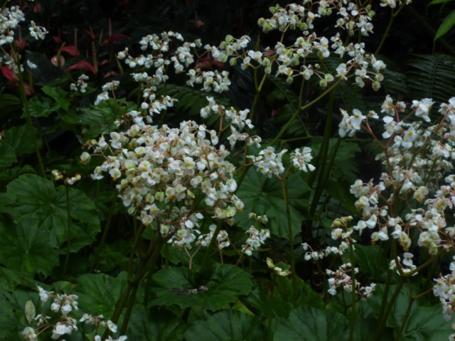 photo1