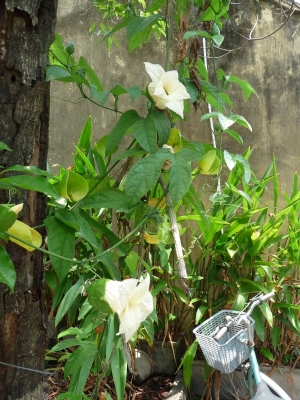 photo1