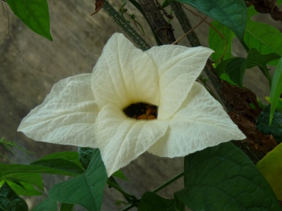 photo2